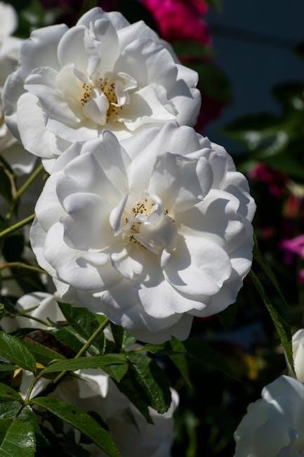 réussir votre examen charpentier-menuisier pdf