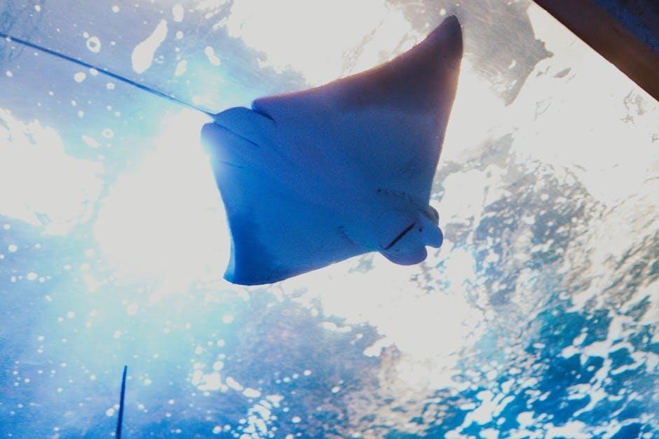 sea ray owners manual