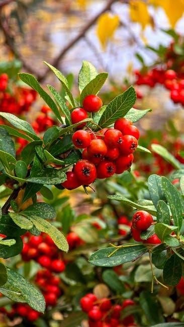 samsung me18h704sfs manual